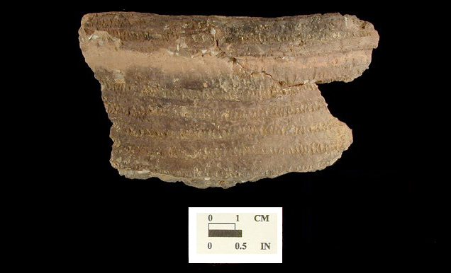 Shepard Rim mended sherds with cord-impressed decoration from the Rosenstock site 18FR18/101.